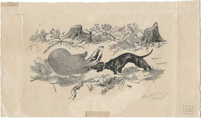 Курдов Валентин Иванович. На охоте. Такса и барсук